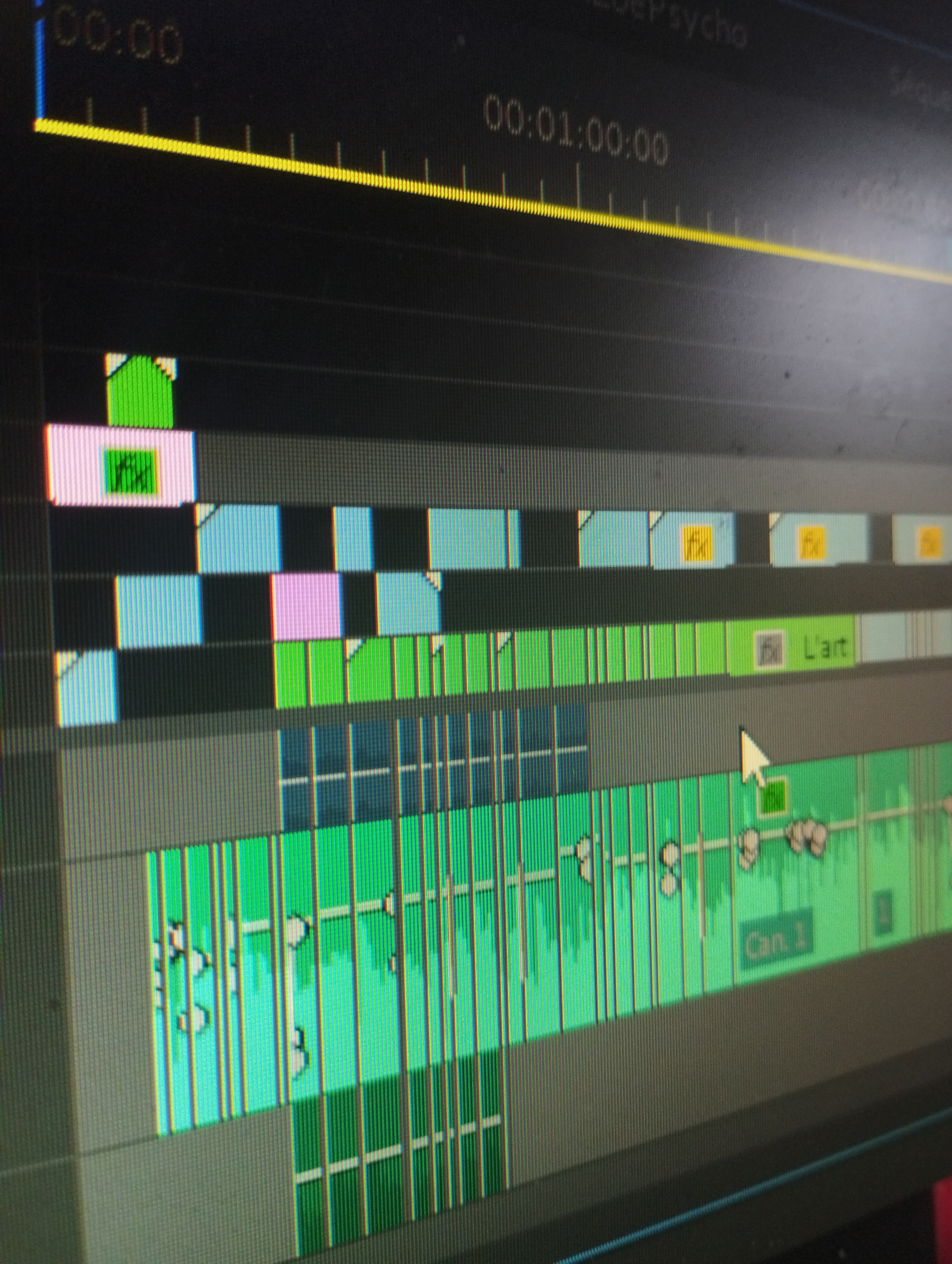 Portrait documentaire intimiste : Zoé de Chanlaire