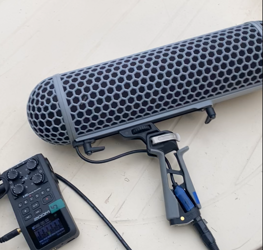 Reportage documentaire sur le centre animalier Le Tichodrome